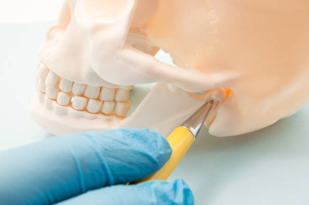 best maxillofacial cancer surgeon in borivali